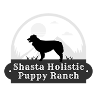 Shasta Holistic Puppy Ranch